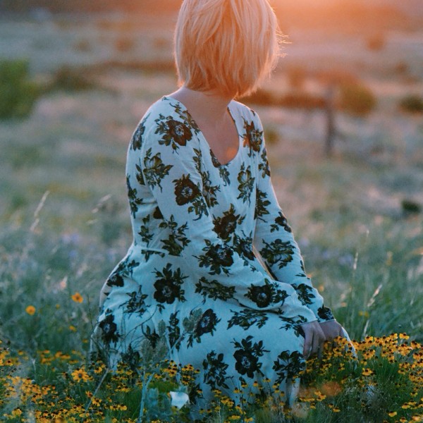 Daisy